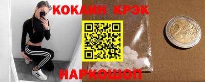 прущие грибы Гатчина