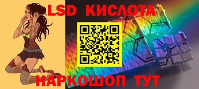 прущие грибы Гатчина