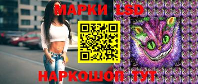 прущие грибы Гатчина