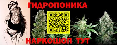 прущие грибы Гатчина