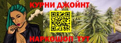 прущие грибы Гатчина