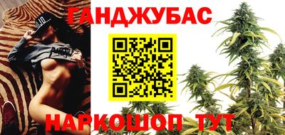 прущие грибы Гатчина