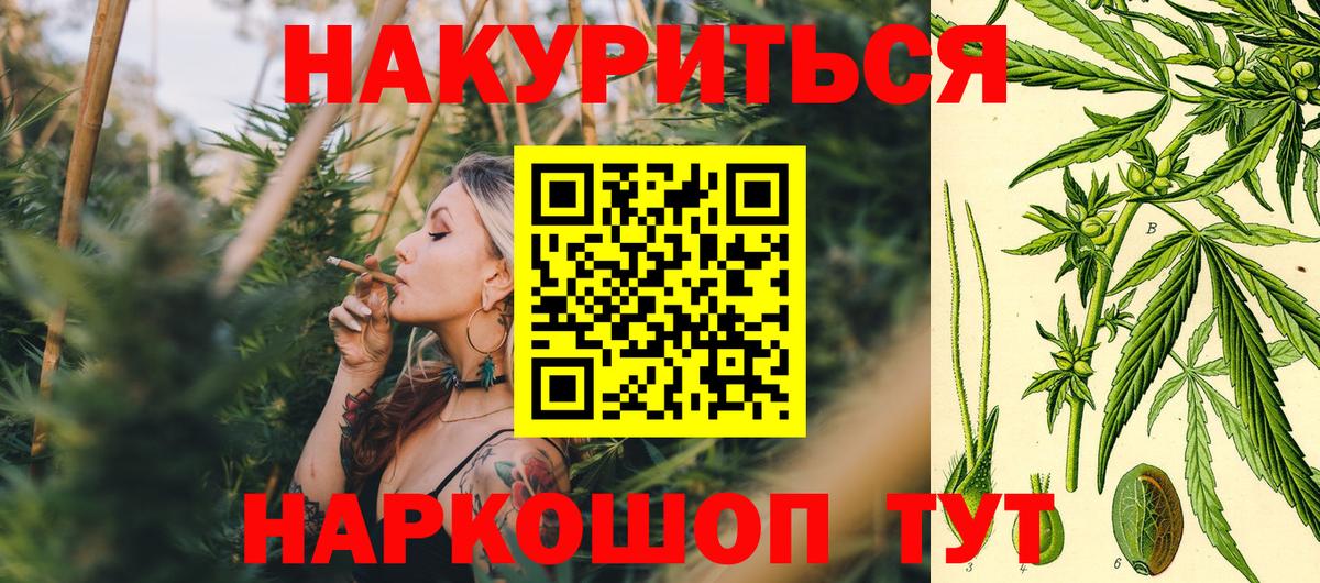 Бошки марихуана конопля Луховицы
